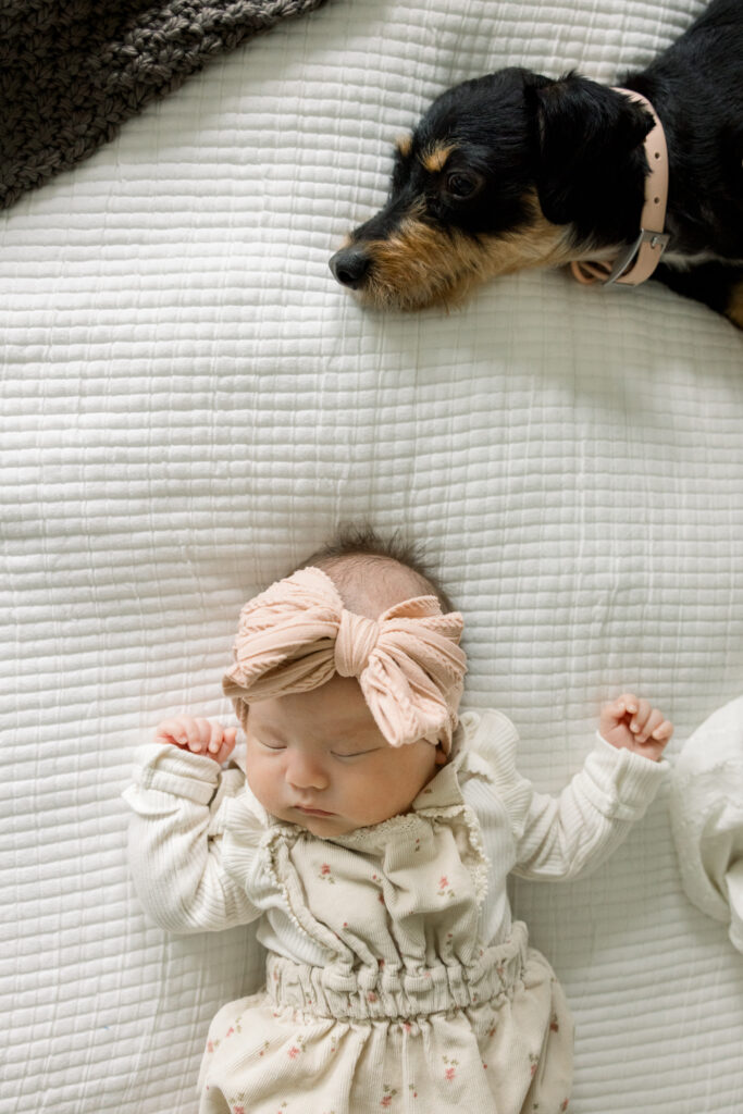 Baby with pet